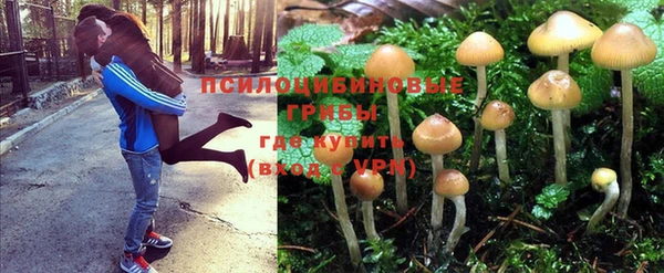 гидра Беломорск