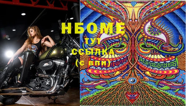 гидра Беломорск