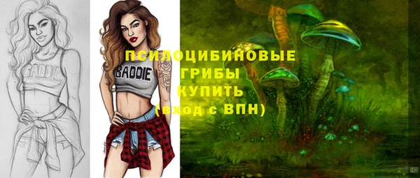 гидра Беломорск