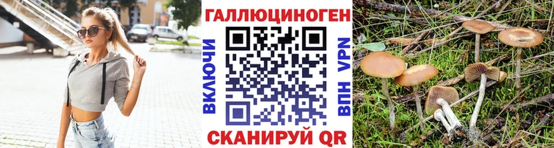 где найти   Северская  Галлюциногенные грибы Magic Shrooms 