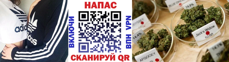 Бошки марихуана LSD WEED  Северская 
